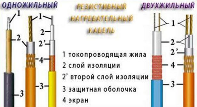 фото с 1 и 2 жилами