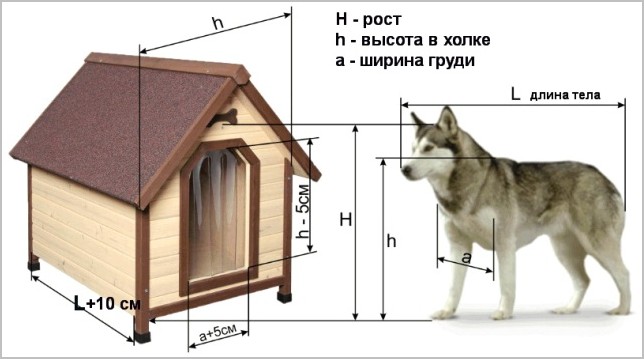 как замерить пса